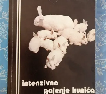 Marko Višnar i dr. – Intenzivno gajenje kunića - cover