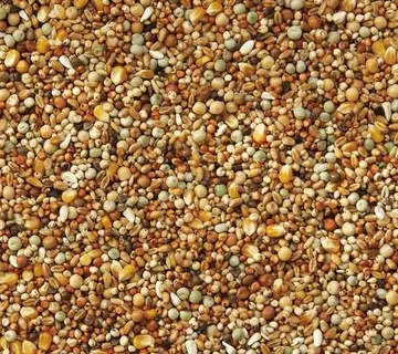 Fancy sa kukuruzom br.51 20kg - cover