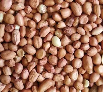 Kikiriki Vanrobaeys 1kg - cover