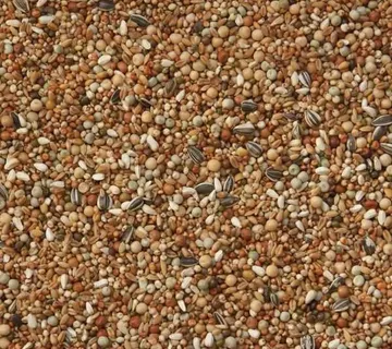 Fancy – HRANA BEZ KUKURUZA 20kg BR.52 - cover