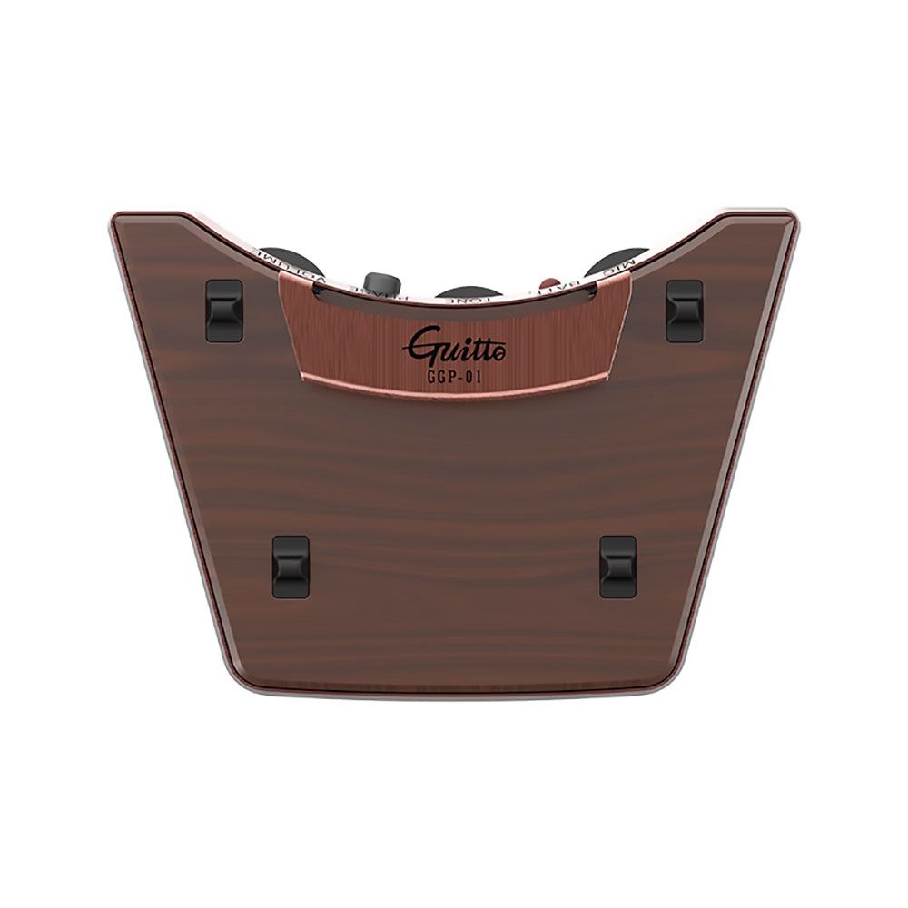 Guitto-ggp-01-pickup