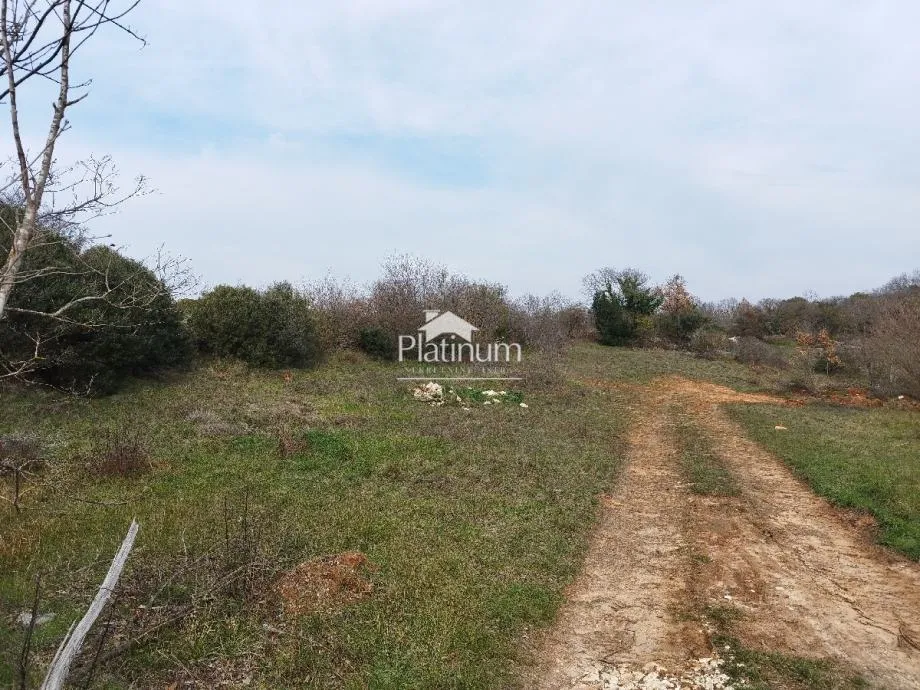 Istra,Šišan poljoprivredna parcela 550 m2 - cover