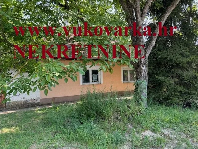 Fotografija