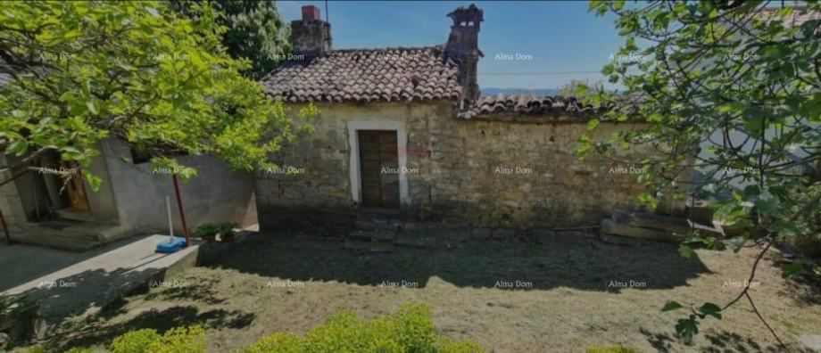 Fotografija