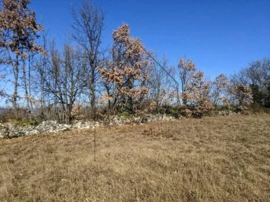 Istra, Labin, poljoprivredno zemljište 7377 m2 - cover