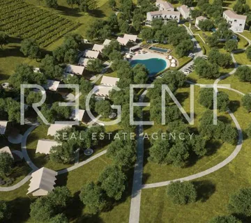 Buzet, Roč – veliko zemljište za stambene i turističke projekte - cover