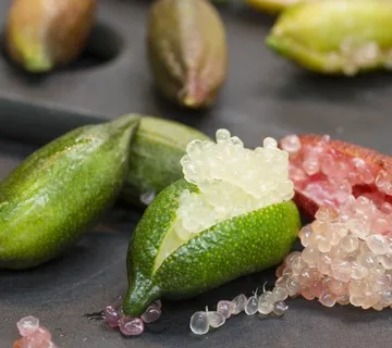Finger limeta, 100 g - cover