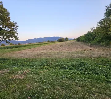 Građevinsko zemljište, Donja Bistra, 2500 m2, SNIŽENO ! - cover