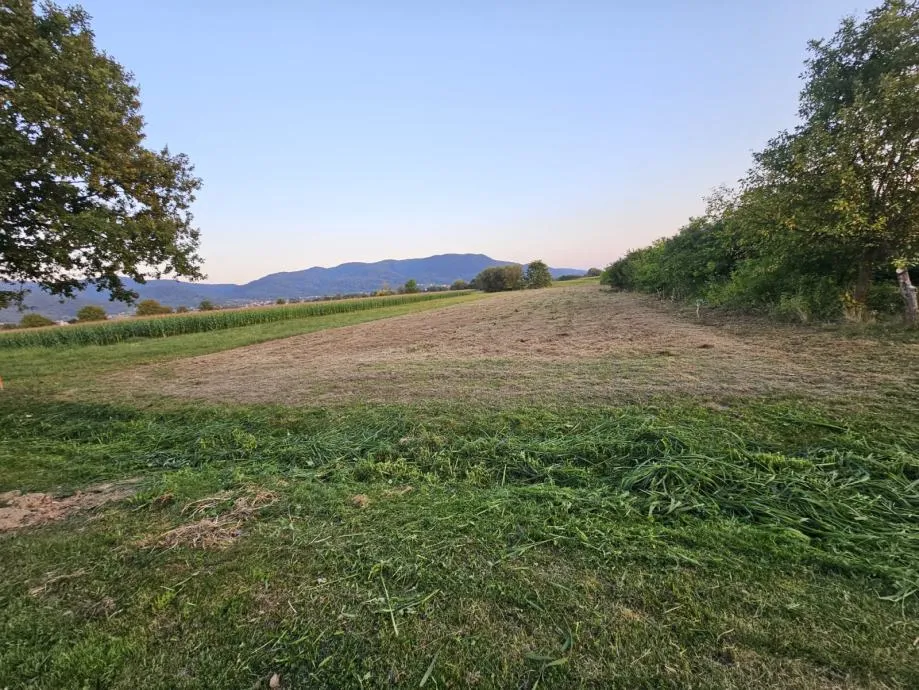 Fotografija