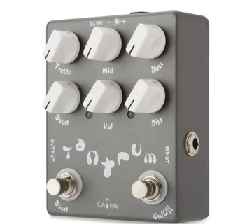 CALINE CP15 TANTRUM HEAVY METAL - cover