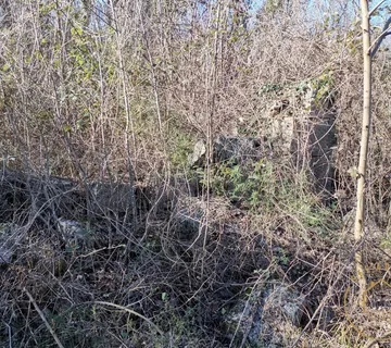 Velika šuma sa ruševinom - cover