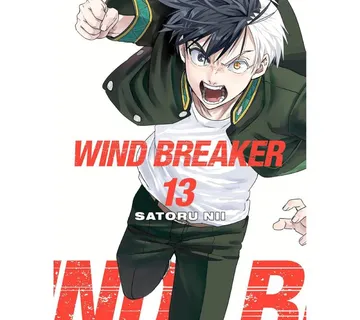 Wind Breaker vol. 13 - cover