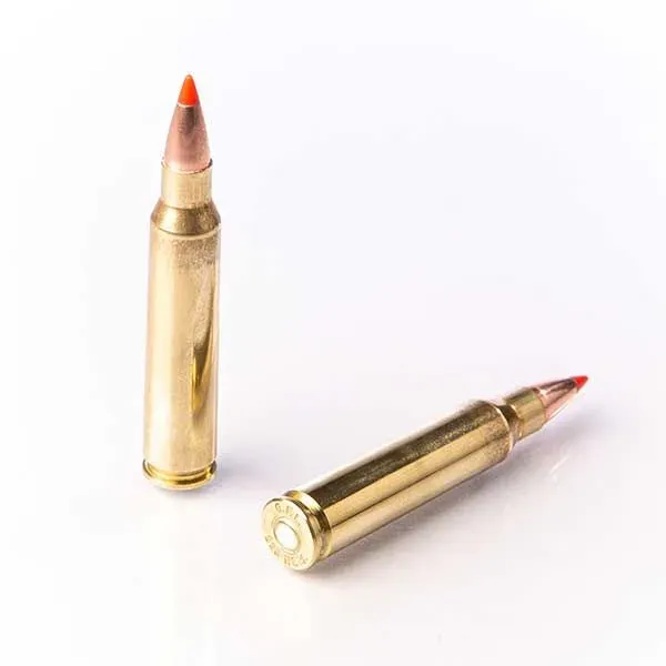 Karabinsko streljivo FIOCCHI .223 Rem. EPN 55gr - cover