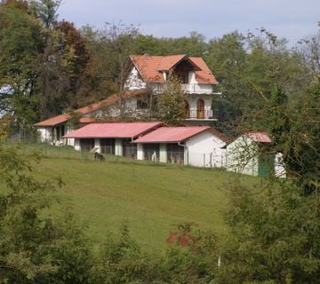 Kuca Đurđevac sa okucnicom 20.000m2 i pomocnim objektima - cover