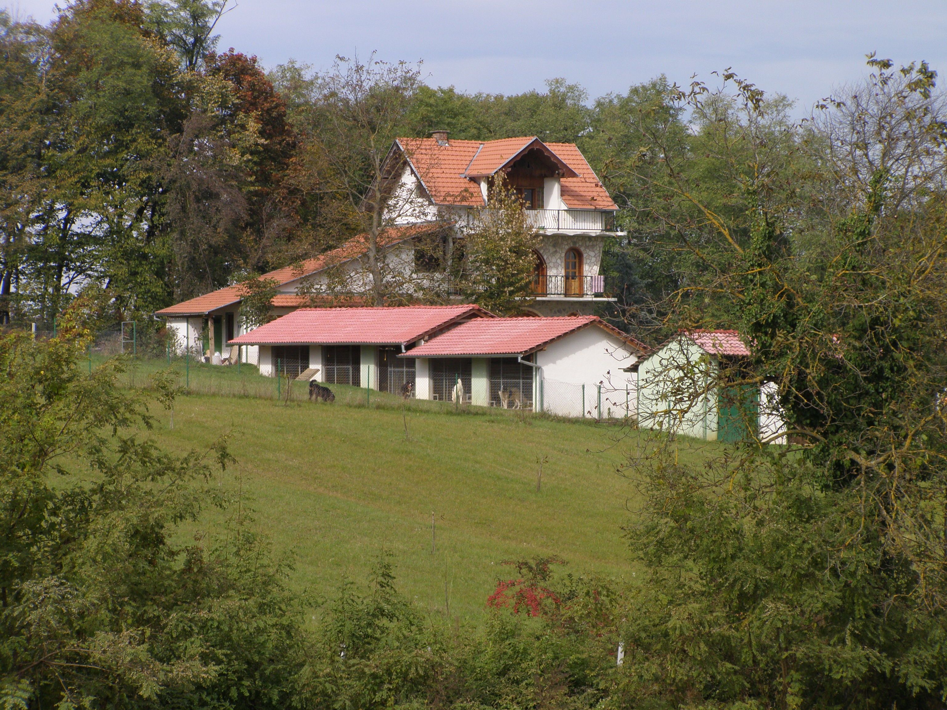 Fotografija