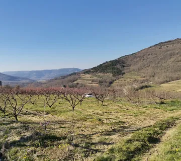 Građevinsko zemljište 3306m2 sa pogledom na Motovun - cover