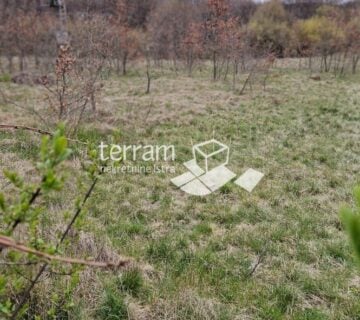 Istra, Barban, građevinsko zemljište 3007m2 prodaja - cover