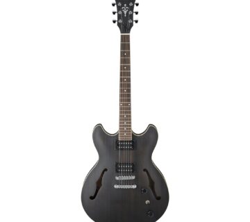 IBANEZ AS53 TKF - cover