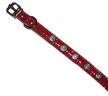 Petstar ogrlica - cover