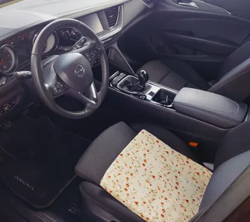 Opel insignija - cover