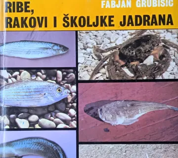 RIBE RAKOVI ŠKOLJKE JADRANA Fabjan Grubišić - cover