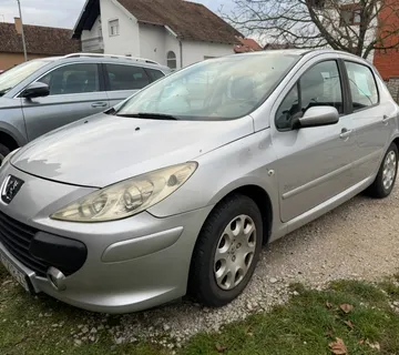 Peugeot 307 SW, Benzin-LPG (4/2028), 4 dodatne felge s gumama - cover