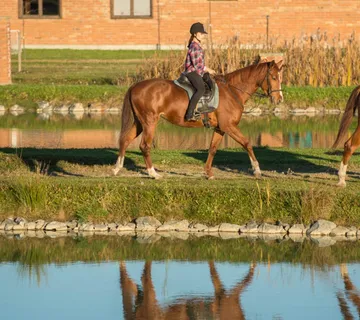 Ranč Ramarin - samostalno jahanje u prirodi (bez iskustva) - cover