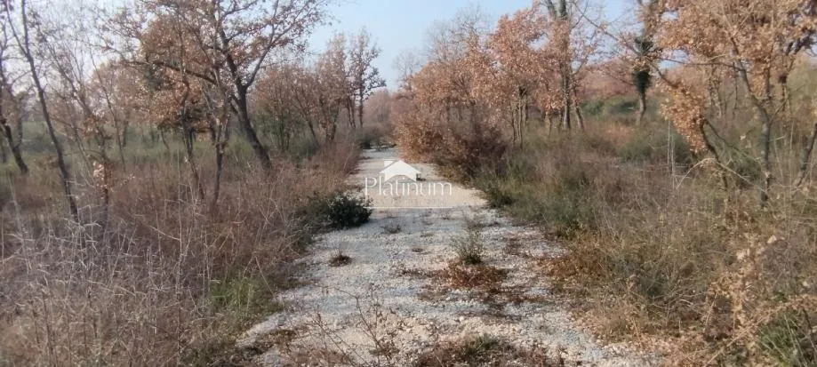 Fotografija