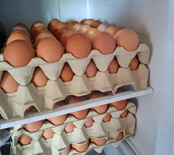 Jaja kokošja.moguca dostava - cover