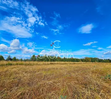 GRAĐEVINSKO, BIŠKUPEC - cover