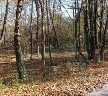 Zemljište Ličko Cerje, Lovinac, površina 25904 m² ( PRODANO ) - cover