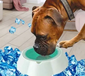 Posuda koja hladi vodu za Ljubimce Fresh & Cold - cover