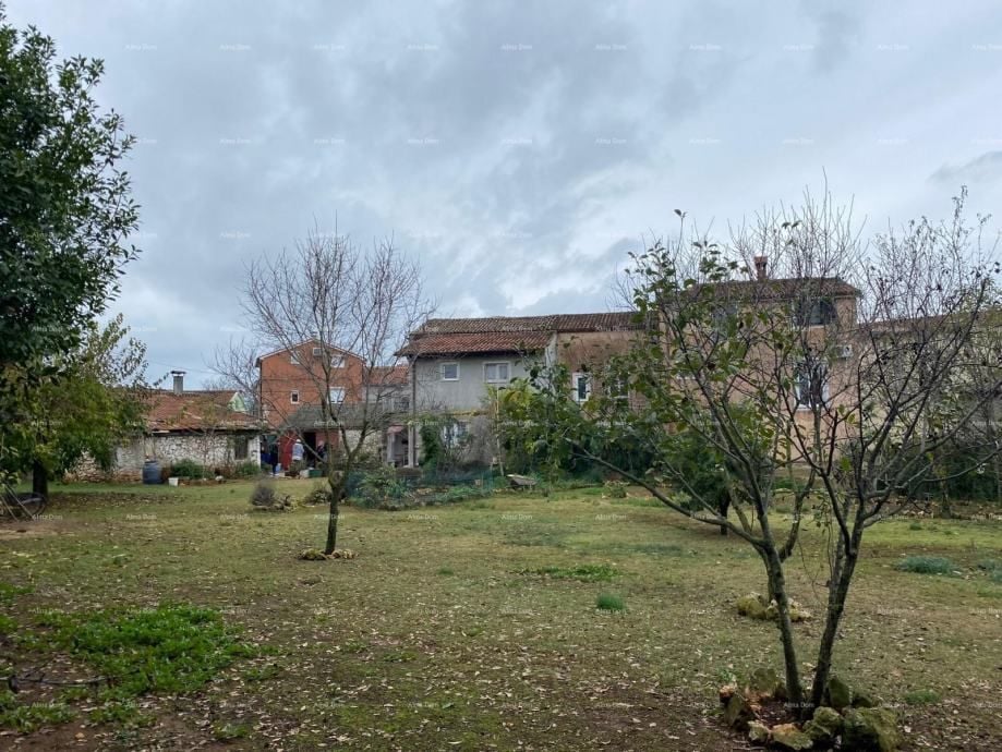 Fotografija