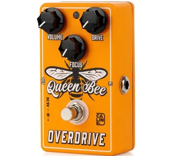 CALINE CP503 QUEEN BEE OVERDRIVE - cover