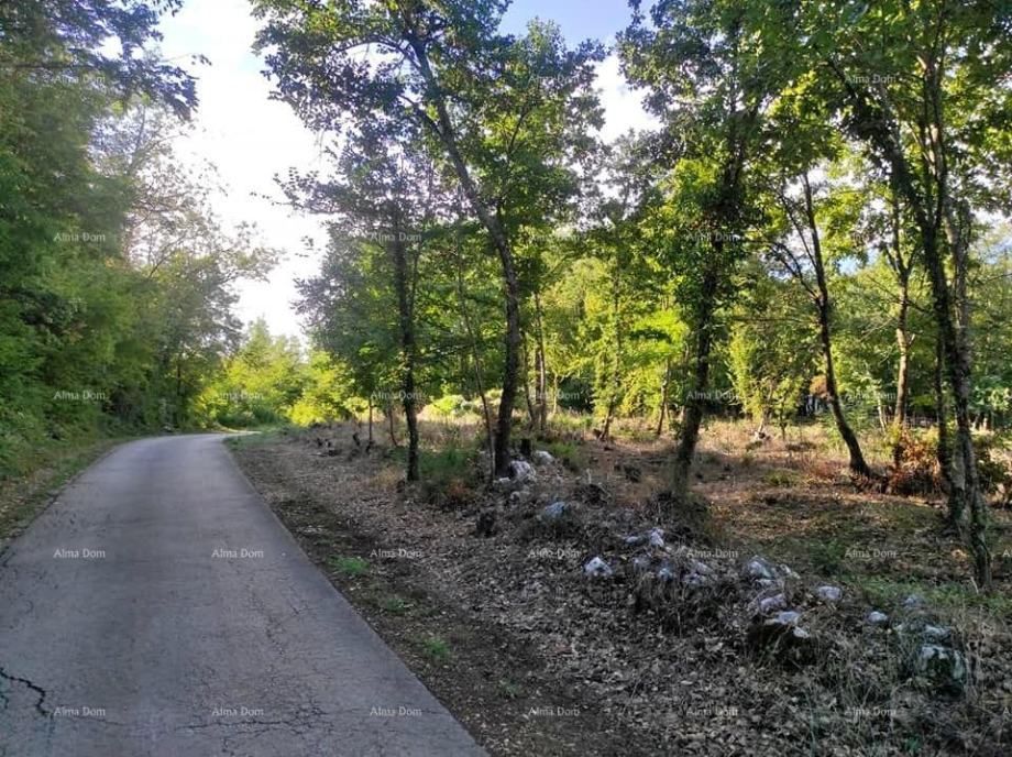 Fotografija