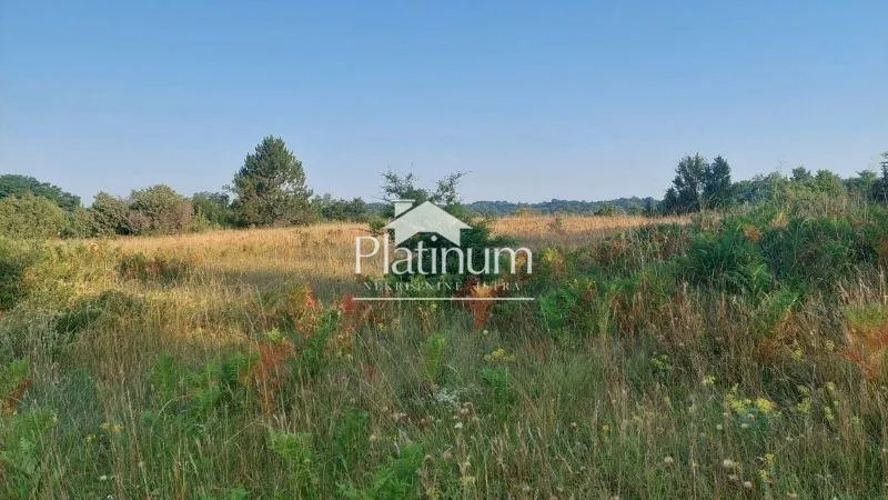 Fotografija
