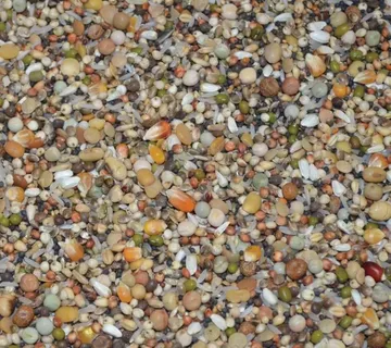 PREMIUM POWER BREEDING BR.182 Vanrobaeys 20kg - cover