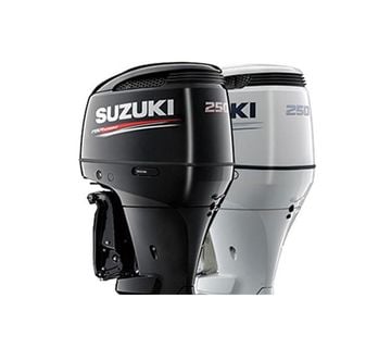 SUZUKI DF250T - cover