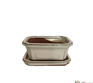 TEGLA ZA BONSAI - cover