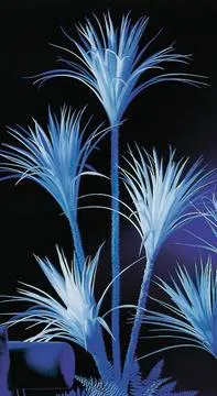 EUROPALMS Yucca palm tree, uv-white, 180cm - cover