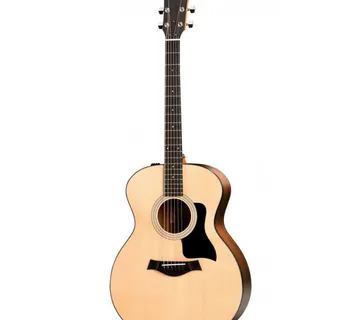 TAYLOR 114e - cover