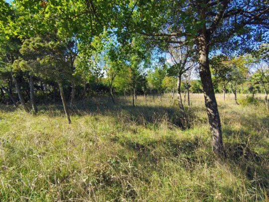 Istra Barban građevinsko zemljište - cover