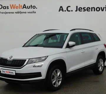 Škoda Kodiaq Business 2.0 TDI 4x4 - cover