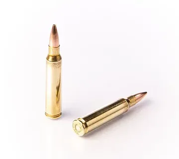 Karabinsko streljivo FIOCCHI .223 Rem PERFECTA HPBT 77gr - cover