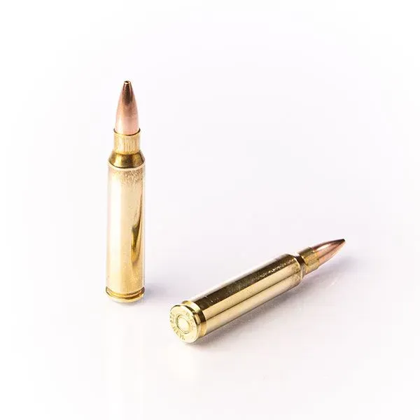 Karabinsko streljivo FIOCCHI .223 Rem PERFECTA HPBT 77gr - cover