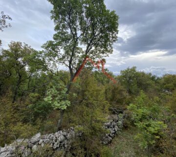 ŠMRIKA - Šumsko / Poljoprivredno zemljište, 5466 m2 - cover