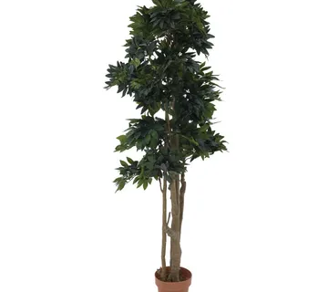 EUROPALMS Mediterranean forest tree, 180cm - cover