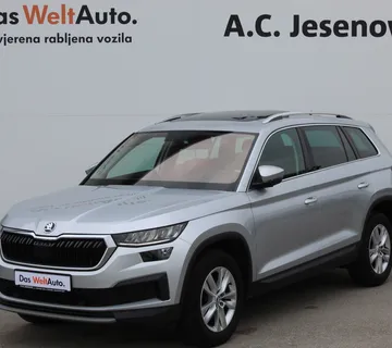 13166 Škoda KODIAQ Ambition 2.0 TDI DSG - cover