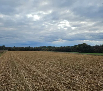 Zemljište Bulinac - cover