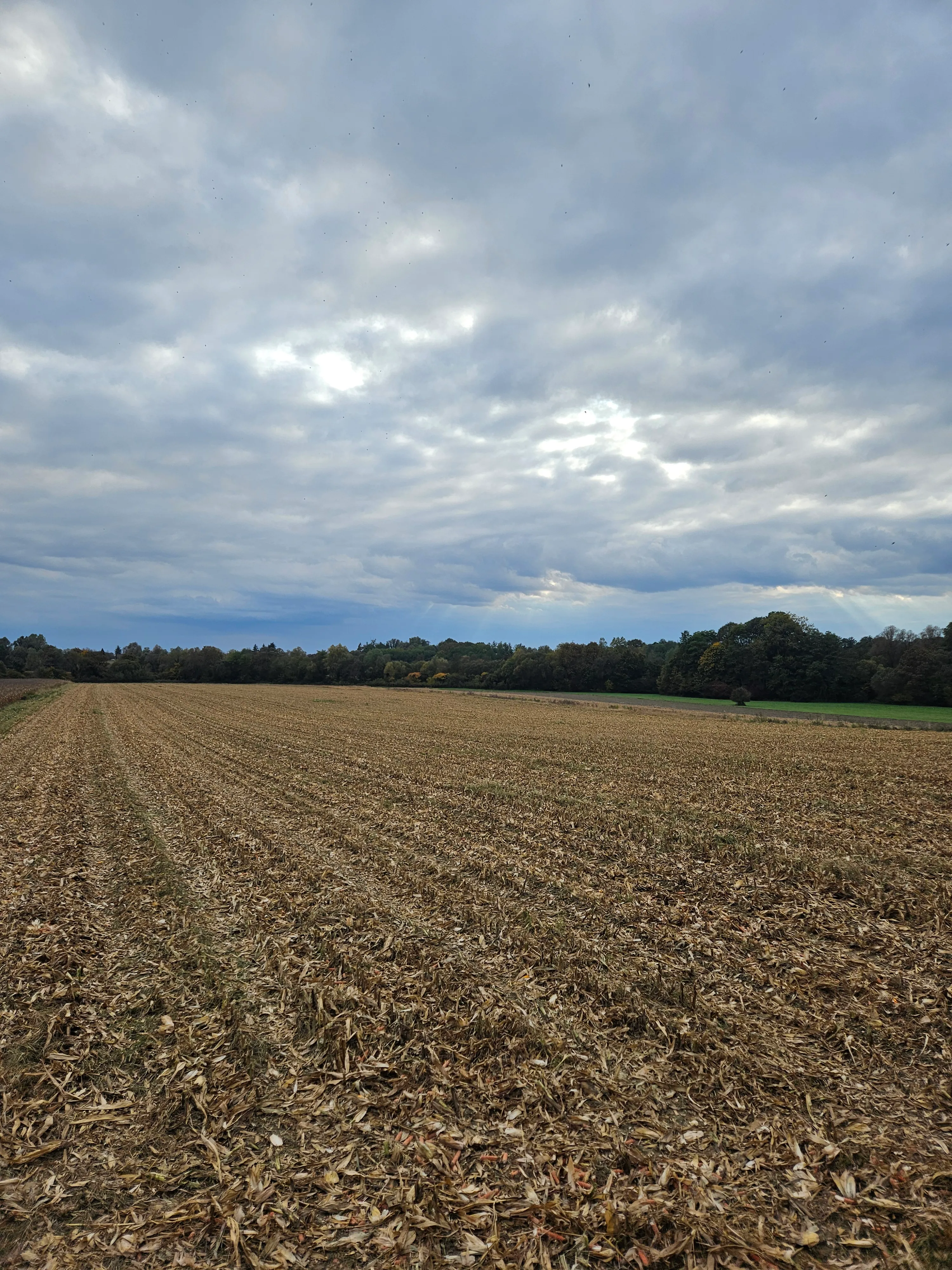 Zemljište Bulinac - cover